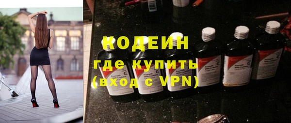 ГАЛЛЮЦИНОГЕННЫЕ ГРИБЫ Лагань