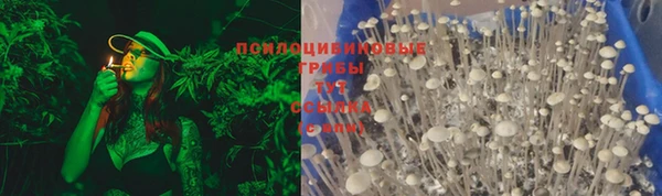 ГАЛЛЮЦИНОГЕННЫЕ ГРИБЫ Лагань