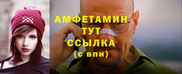 ГАЛЛЮЦИНОГЕННЫЕ ГРИБЫ Лагань