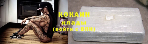 ГАЛЛЮЦИНОГЕННЫЕ ГРИБЫ Лагань