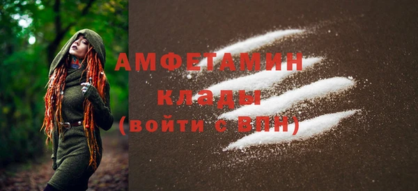 ГАЛЛЮЦИНОГЕННЫЕ ГРИБЫ Лагань