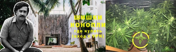 ГАЛЛЮЦИНОГЕННЫЕ ГРИБЫ Лагань
