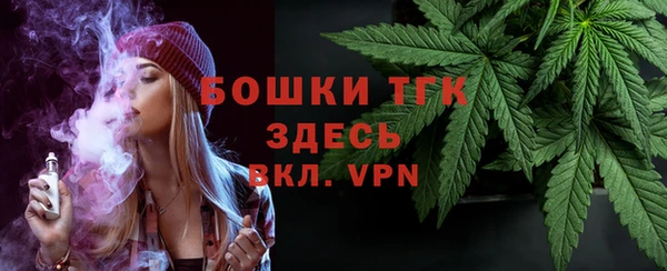 ГАЛЛЮЦИНОГЕННЫЕ ГРИБЫ Лагань