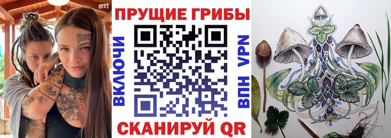 Псилоцибиновые грибы Magic Shrooms  Купить где  Киренск 